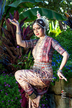 Meenakshi-Arboritam-6225